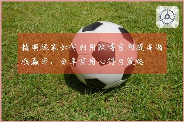 精明玩家如何利用欧博官网提高游戏赢率，分享实用心得与策略
